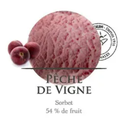 pêche de vigne